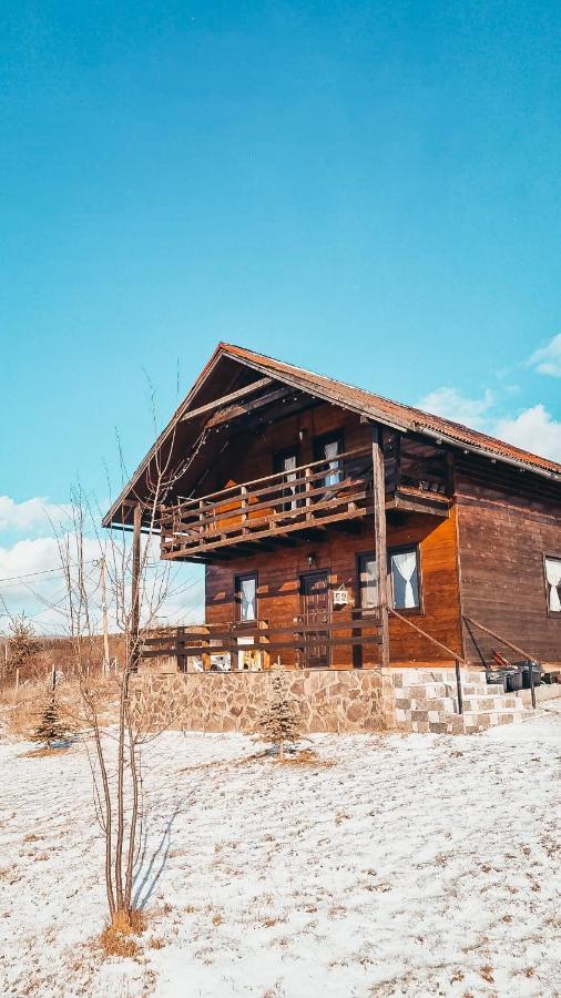 The Wooden Nest -Covasna Villa Ngoại thất bức ảnh