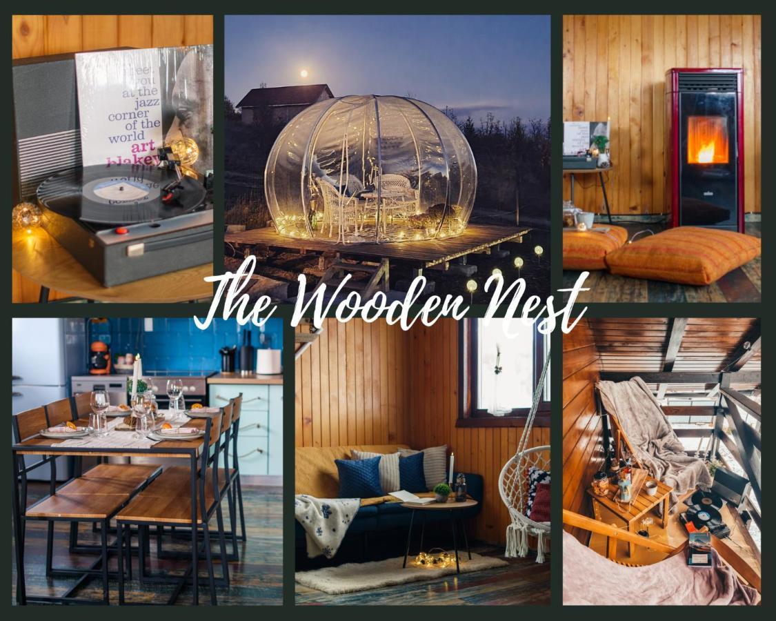 The Wooden Nest -Covasna Villa Ngoại thất bức ảnh