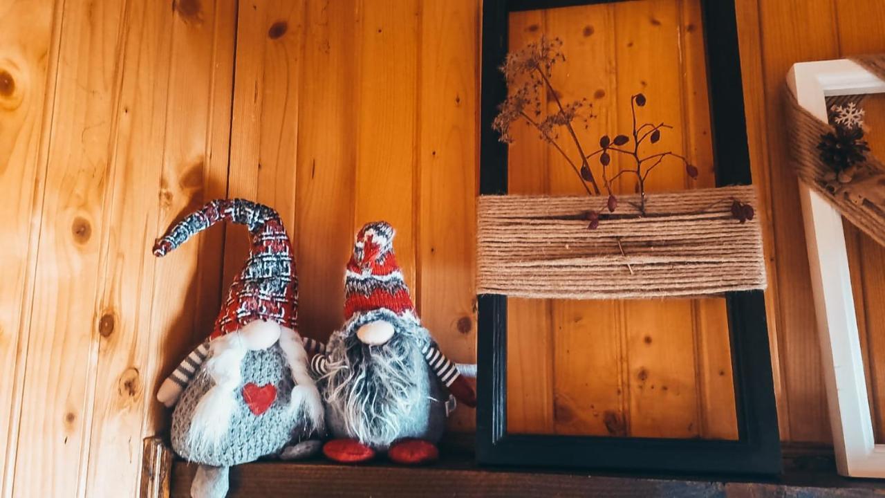 The Wooden Nest -Covasna Villa Ngoại thất bức ảnh